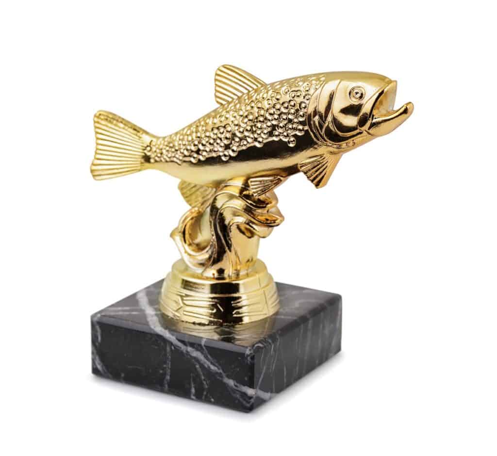 A fishing trophy from winning a contest.