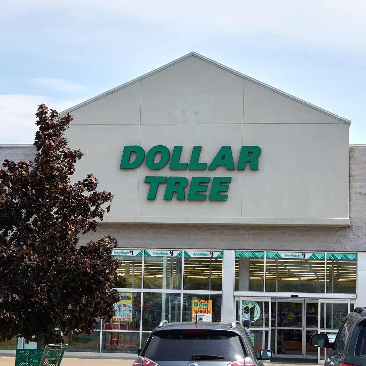The outside of a Dollar Tree store with a tree by the side.